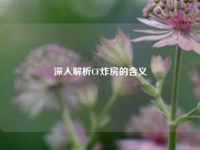 深入解析CF炸房的含义