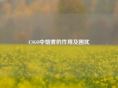 CSGO中烟雾的作用及困扰