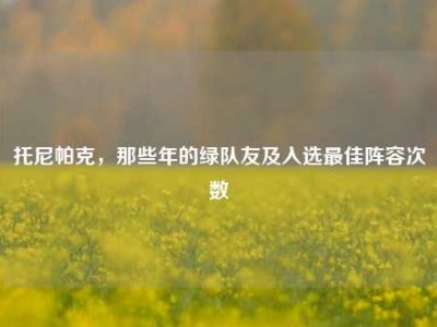 托尼帕克，那些年的绿队友及入选最佳阵容次数