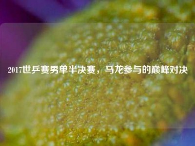 2017世乒赛男单半决赛，马龙参与的巅峰对决