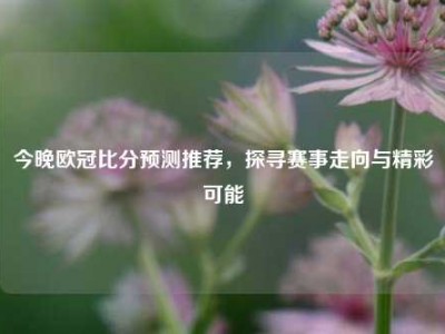 今晚欧冠比分预测推荐，探寻赛事走向与精彩可能