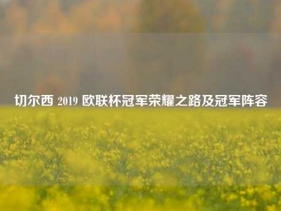 切尔西 2019 欧联杯冠军荣耀之路及冠军阵容