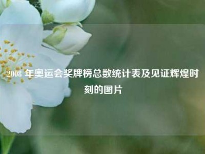 2008 年奥运会奖牌榜总数统计表及见证辉煌时刻的图片