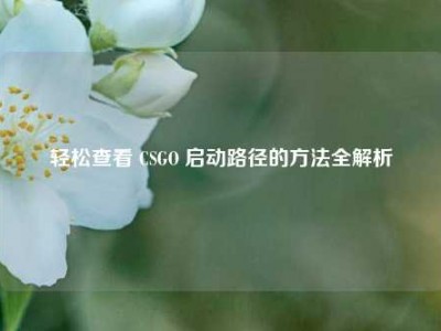 轻松查看 CSGO 启动路径的方法全解析
