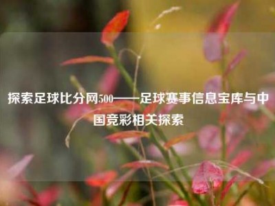 探索足球比分网500——足球赛事信息宝库与中国竞彩相关探索
