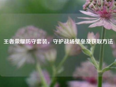 王者荣耀防守套装，守护战场壁垒及获取方法