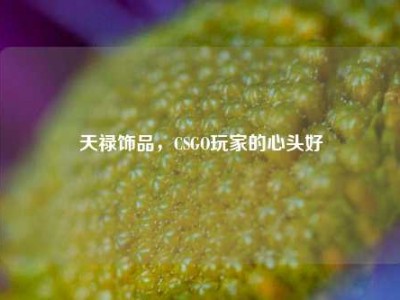 天禄饰品，CSGO玩家的心头好