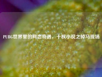 PUBG世界里的网恋奇遇，十权小说之掉马现场
