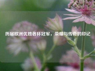 历届欧洲优胜者杯冠军，荣耀与传奇的印记