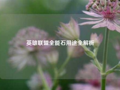 英雄联盟全能石用途全解析