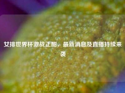 女排世界杯激战正酣，最新消息及直播持续来袭