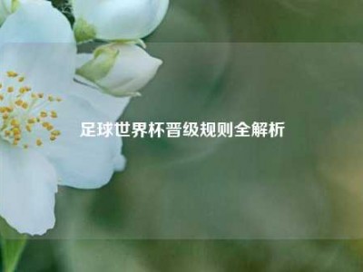 足球世界杯晋级规则全解析