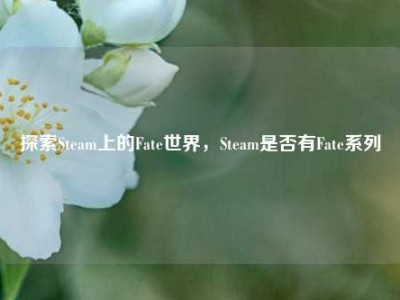 探索Steam上的Fate世界，Steam是否有Fate系列