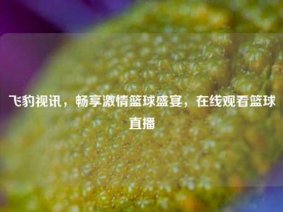 飞豹视讯，畅享激情篮球盛宴，在线观看篮球直播