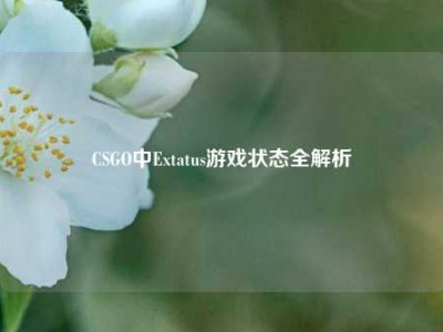 CSGO中Extatus游戏状态全解析