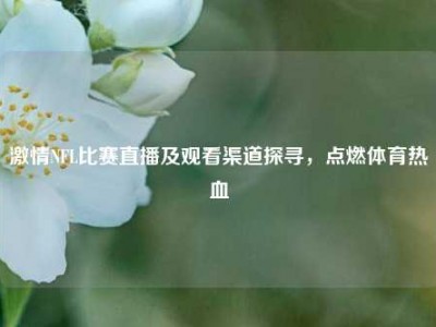 激情NFL比赛直播及观看渠道探寻，点燃体育热血
