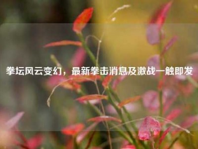拳坛风云变幻，最新拳击消息及激战一触即发