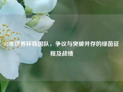 02年世界杯韩国队，争议与突破并存的绿茵征程及战绩
