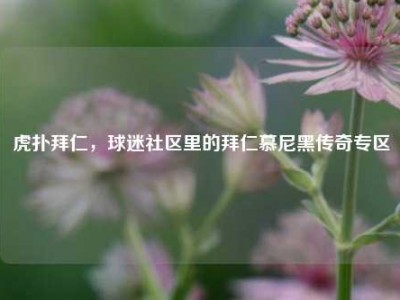 虎扑拜仁，球迷社区里的拜仁慕尼黑传奇专区