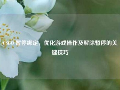 CSGO 暂停绑定，优化游戏操作及解除暂停的关键技巧