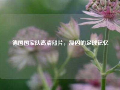 德国国家队高清照片，凝固的足球记忆