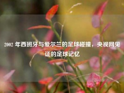 2002 年西班牙与爱尔兰的足球碰撞，央视网见证的足球记忆