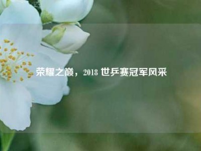 荣耀之巅，2018 世乒赛冠军风采