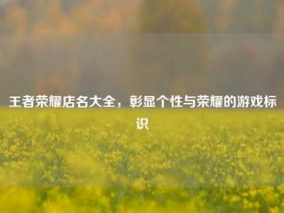 王者荣耀店名大全，彰显个性与荣耀的游戏标识