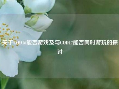 关于COD16能否游戏及与COD17能否同时游玩的探讨