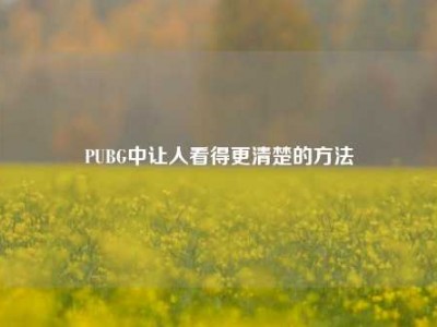 PUBG中让人看得更清楚的方法