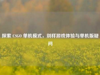 探索 CSGO 单机模式，别样游戏体验与单机版疑问