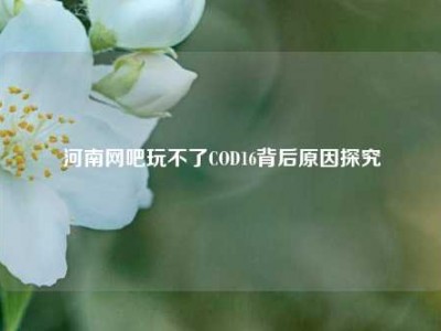 河南网吧玩不了COD16背后原因探究