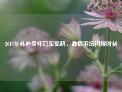 2015年苏迪曼杯冠军揭晓，激情羽坛闪耀时刻