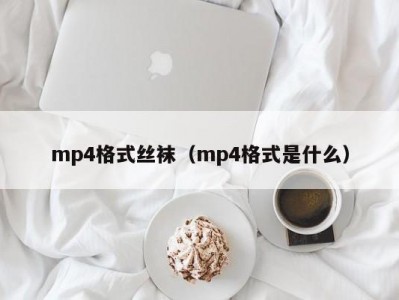 mp4格式丝袜（mp4格式是什么）