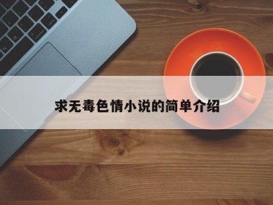 求无毒色情小说的简单介绍