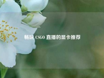 畅玩 CSGO 直播的显卡推荐