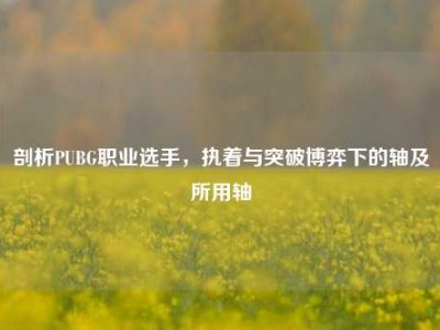 剖析PUBG职业选手，执着与突破博弈下的轴及所用轴