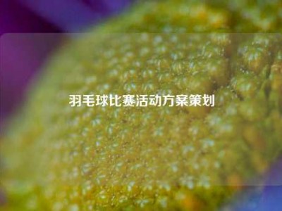 羽毛球比赛活动方案策划