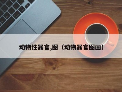 动物性器官,图（动物器官图画）