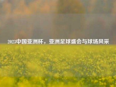 2023中国亚洲杯，亚洲足球盛会与球场风采