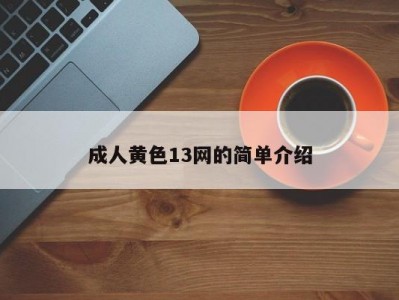 成人黄色13网的简单介绍