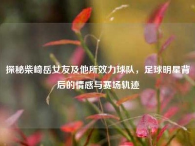 探秘柴崎岳女友及他所效力球队，足球明星背后的情感与赛场轨迹