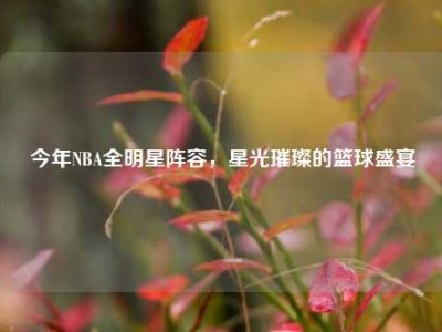 今年NBA全明星阵容，星光璀璨的篮球盛宴