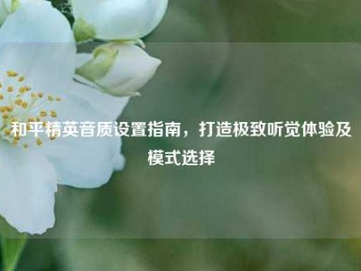 和平精英音质设置指南，打造极致听觉体验及模式选择