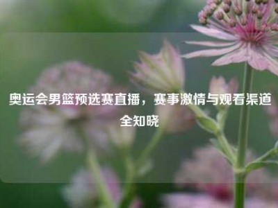 奥运会男篮预选赛直播，赛事激情与观看渠道全知晓