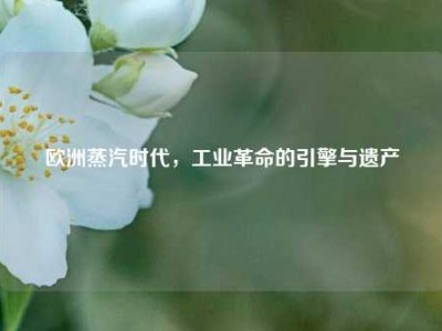 欧洲蒸汽时代，工业革命的引擎与遗产