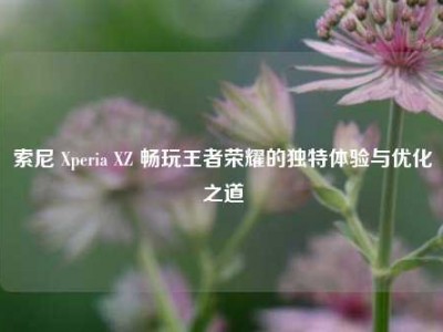 索尼 Xperia XZ 畅玩王者荣耀的独特体验与优化之道