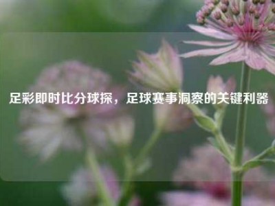 足彩即时比分球探，足球赛事洞察的关键利器