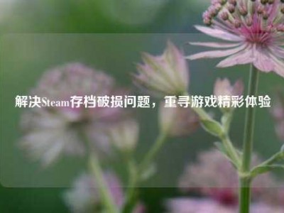 解决Steam存档破损问题，重寻游戏精彩体验