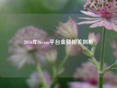 2016年Steam平台金额相关剖析